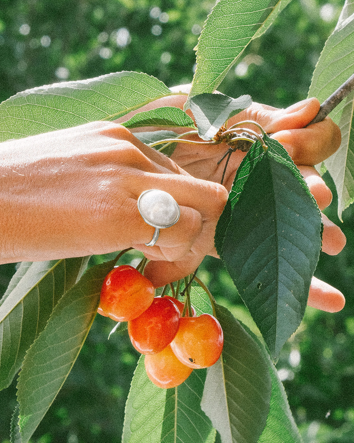 Pearl Button Littlefinger Ring