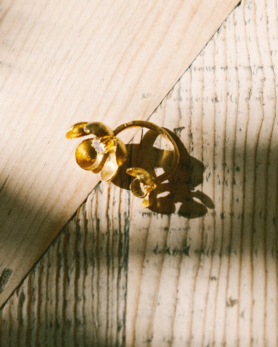 Conjunto Bloom - Conjunto Our Sins