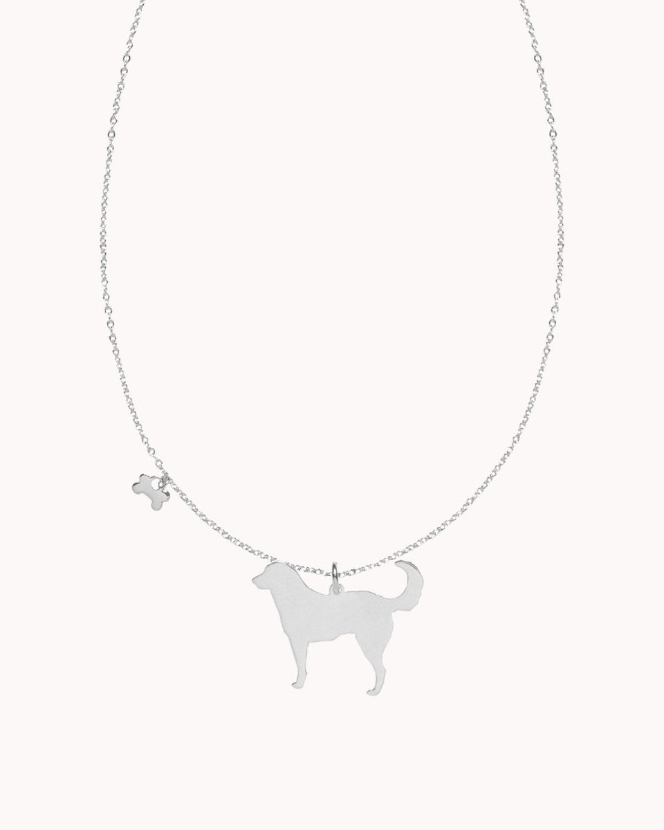 Colar com cão (várias raças) e osso - Colares Our Sins